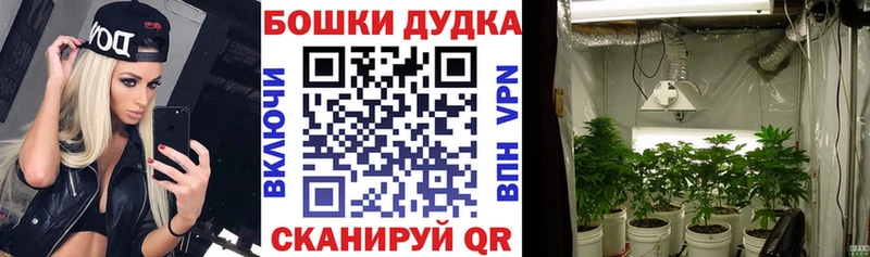 Где купить наркоту Радужный Псилоцибиновые грибы  Метадон  Cocaine  kraken онион  A-PVP  Амфетамин  Меф мяу мяу 