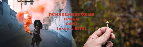 mix Ельня