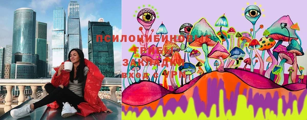 mix Ельня