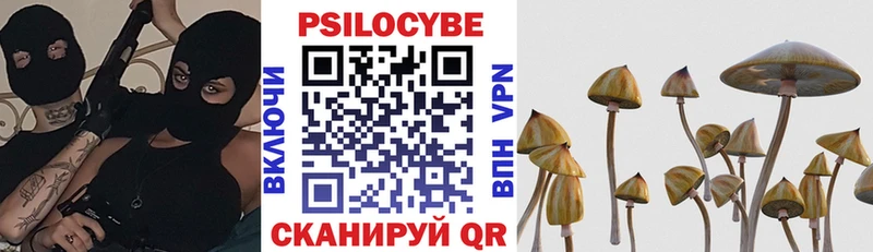 kraken зеркало  Радужный  Галлюциногенные грибы Magic Shrooms 